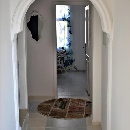 Apartment Stanistan